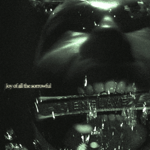 Enslave (RUS) : Joy of All the Sorrowful